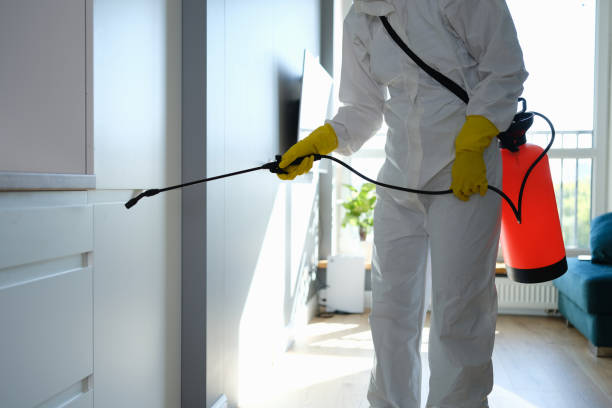 Best Professional Mold Removal  in Radium Springs, NM